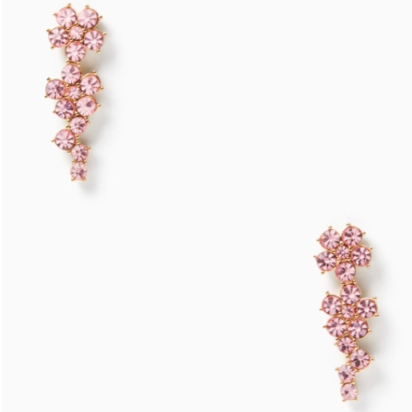 Kate Spade ♠️Pink Earring Set - Picture 2 of 7